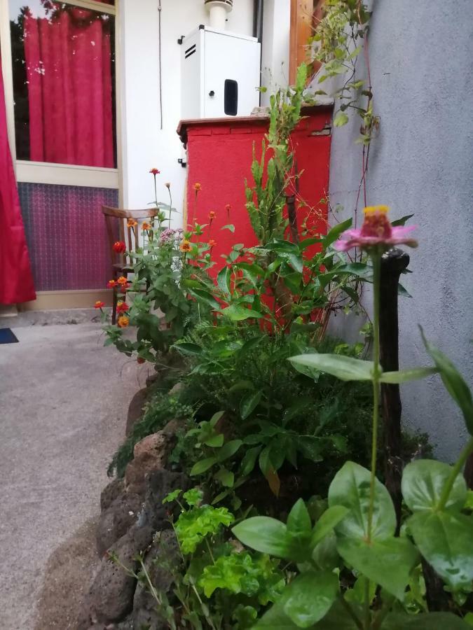 B&B Daddanca Ales Exteriér fotografie